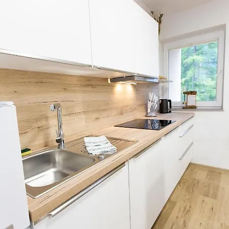 Gozd Martuljek Kranjska Gora