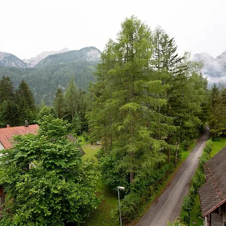 Gozd Martuljek Kranjska Gora