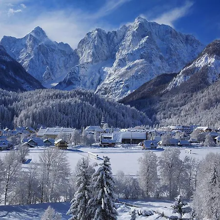 Gozd Martuljek Kranjska Gora