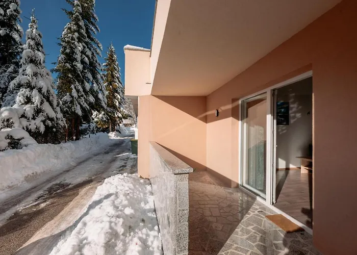 Gozd Martuljek Kranjska Gora